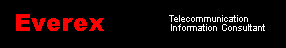 Everex: Telecommunication Information Consultant